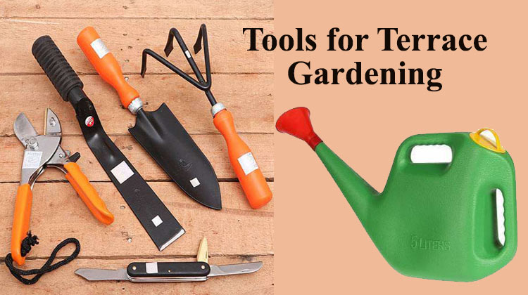 Tools for Terrace Gardening