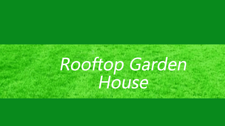 Rooftop garden House